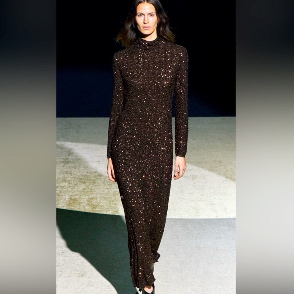 Zara Brown Sequin Long Sleeve Open Back Maxi Dress